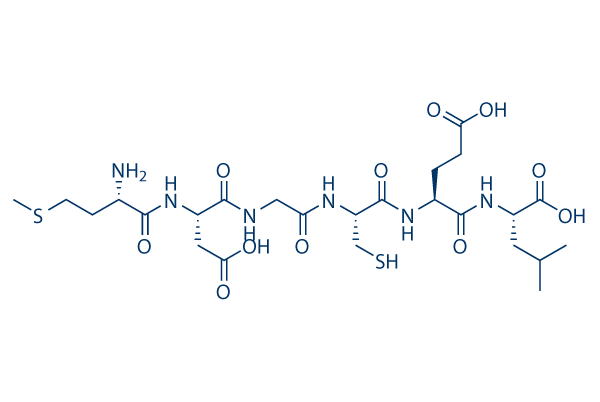 Box5 Amino-acid Sequence