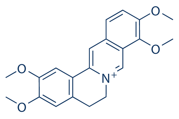 Palmatine Chemical Structure
