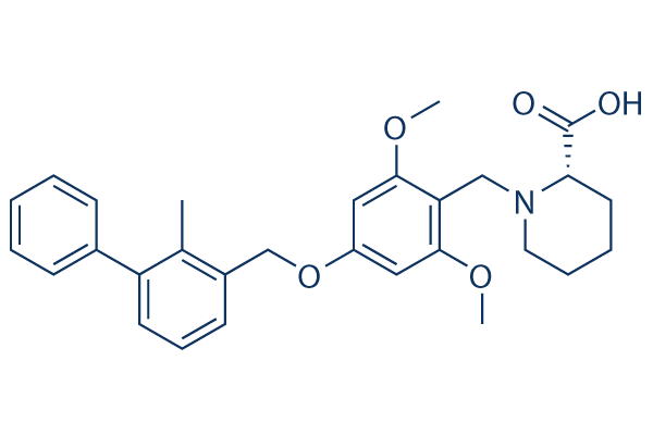 BMS-1 (PD-1/PD-L1 inhibitor 1) | ≥99 