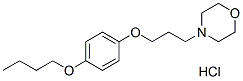 Pramoxine HCl Chemical Structure