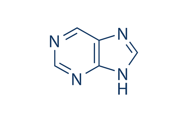 Purine Chemical Structure