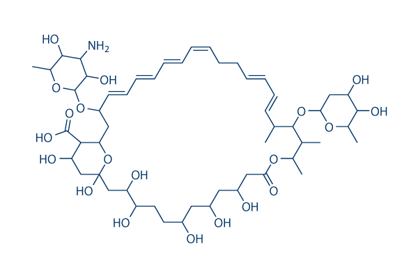 Nystatin (Fungicidin) Chemical Structure