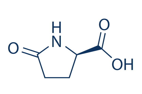 D-Pyroglutamic acid Chemical Structure