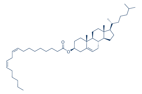 Cholesteryl linoleate Chemical Structure