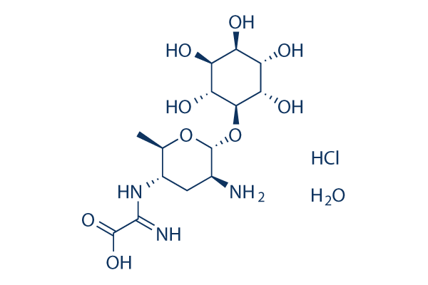 Kasugamycin hydrochloride hydrate Chemical Structure