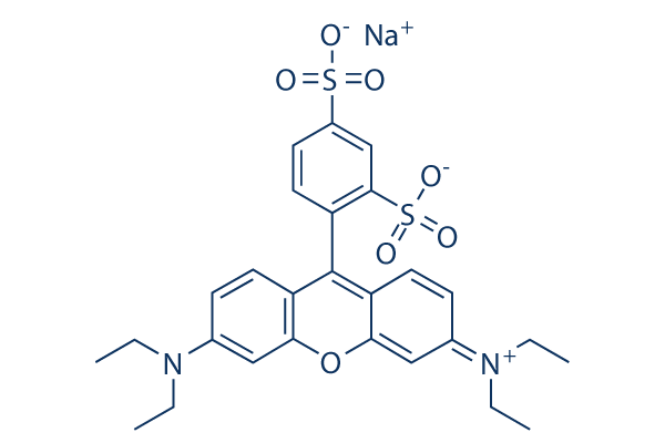 Sulforhodamine B sodium salt Chemical Structure