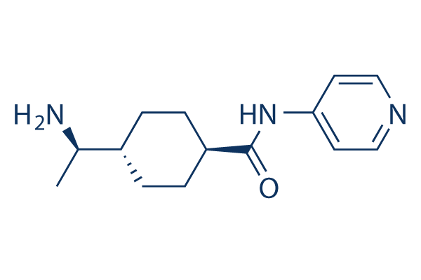 Y-27632 Chemical Structure