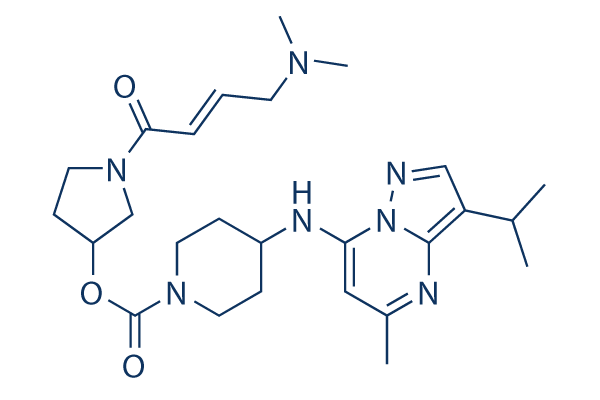 LY3405105 Chemical Structure