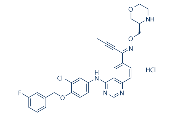 Epertinib hydrochloride Chemical Structure