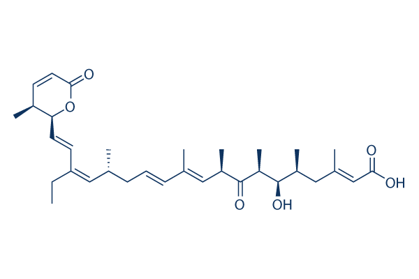 Leptomycin B Chemical Structure