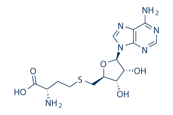 S-Adenosyl-L-homocysteine (SAH) Chemical Structure