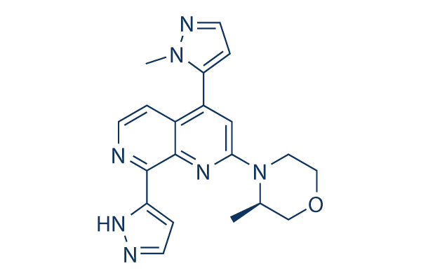 
		Elimusertib (BAY-1895344) | ≥99%(HPLC) | Selleck | ATM/ATR inhibitor
