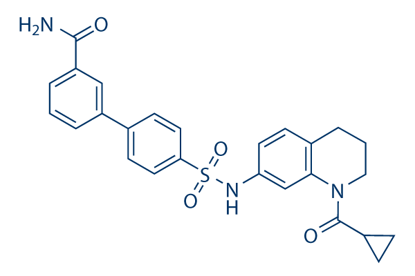 SU0268 Chemical Structure