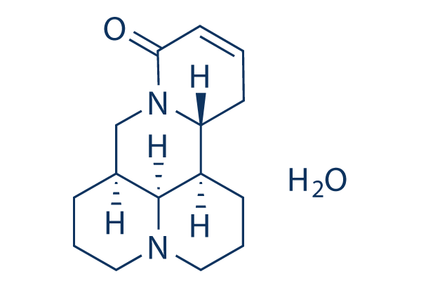 Sophocarpine Monohydrate Chemical Structure
