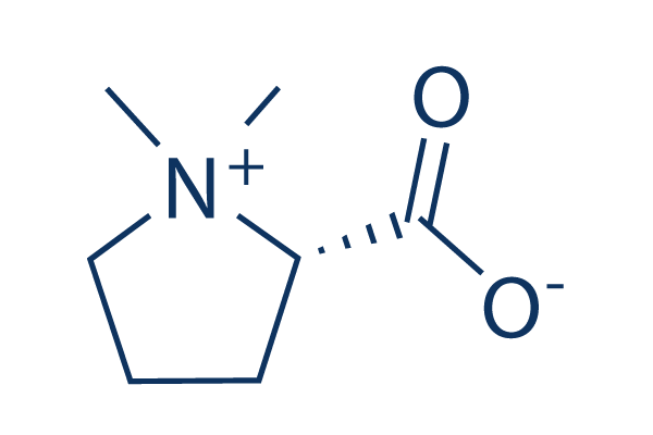 Stachydrine Chemical Structure