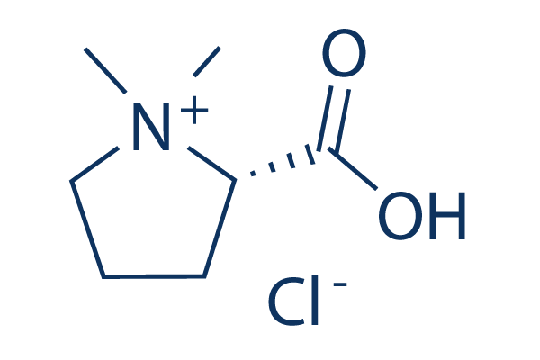 Stachydrine hydrochloride Chemical Structure