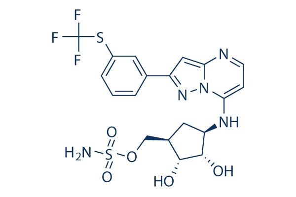 
		TAK-243 (MLN7243) | ≥99%(HPLC) | Selleck | E1 Activating inhibitor
