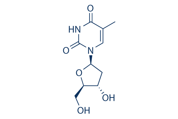 
		Thymidine (NSC 21548) | ≥99%(HPLC) | Selleck | DNA/RNA Synthesis chemical
