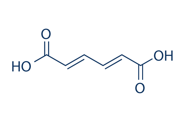 trans-trans-Muconic acid Chemical Structure