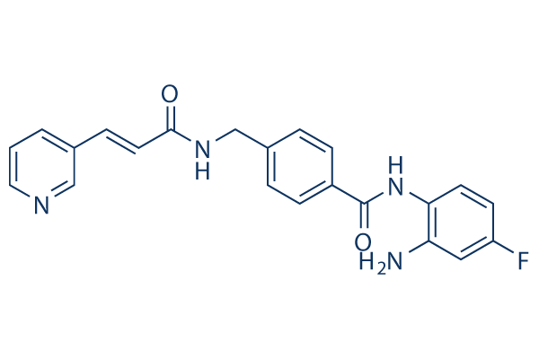 
		Tucidinostat (Chidamide) | ≥99%(HPLC) | Selleck | HDAC inhibitor
