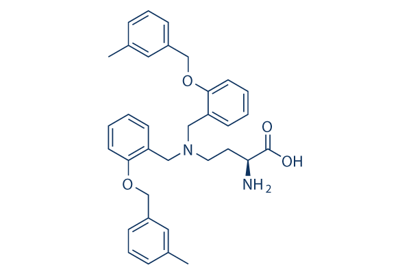 
		V-9302 | ≥99%(HPLC) | Selleck | Amino acid transporter antagonist
